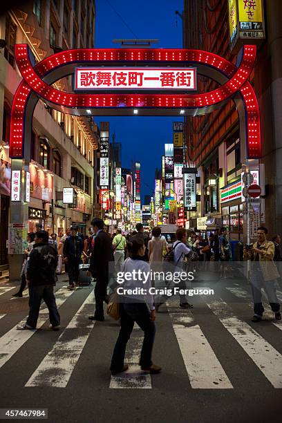 Kabukicho entertainment and red light district is located in Shinjuku, and is a lively area full of karaoke, restaurants, bars and hostess clubs.