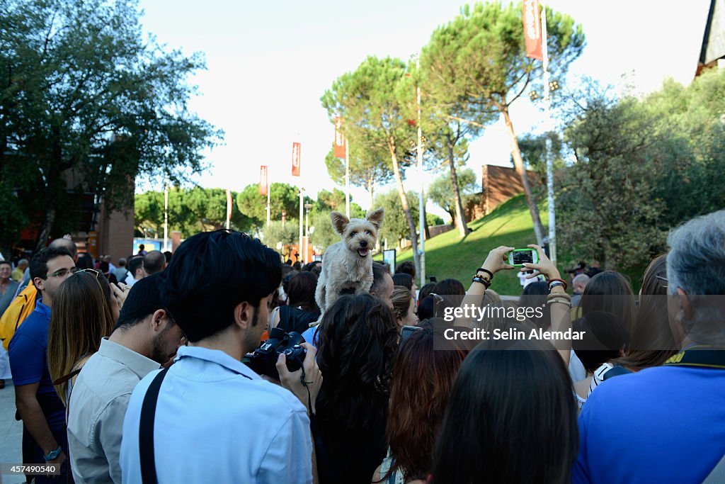 'Lucifer' Red Carpet - The 9th Rome Film Festival