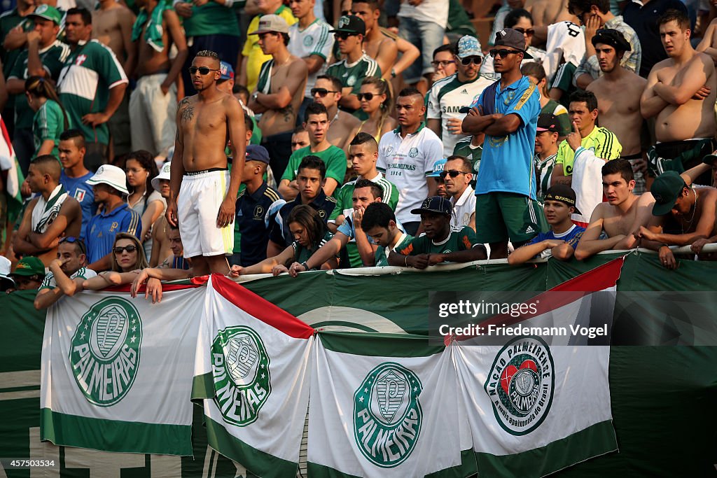 Palmeiras v Santos - Brasileirao Series A 2014