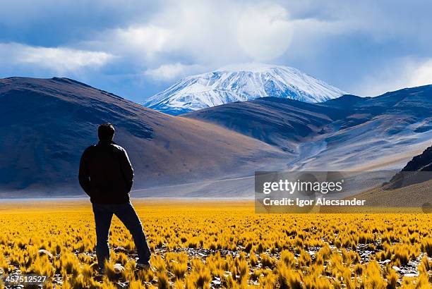 looking incahuasi volcano in the andes - catamarca stock pictures, royalty-free photos & images
