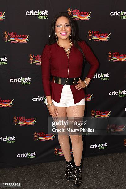 Helen Ochoa attends Latin GRAMMY Street Parties In LA with Los Tucanes De Tijuana on October 19, 2014 in Los Angeles, California.