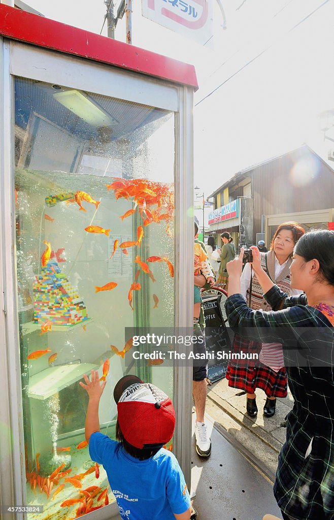 Goldfish Public Telephone Box In Yamatokoriyama