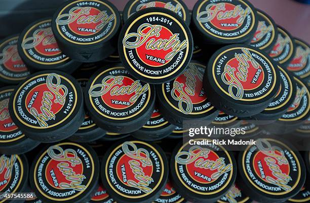 Ted Reeve Arena Photos and Premium High Res Pictures - Getty Images