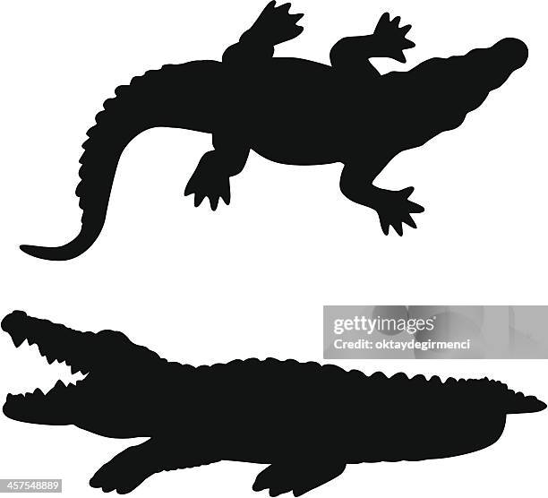 ilustraciones, imágenes clip art, dibujos animados e iconos de stock de mordaza de cocodrilo - alligator