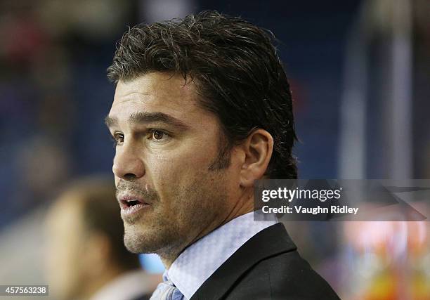 Assistant Coach David Matsos of the Sudbury Wolves looks on from the bench during an OHL game between the Sudbury Wolves and the Niagara Ice Dogs at...