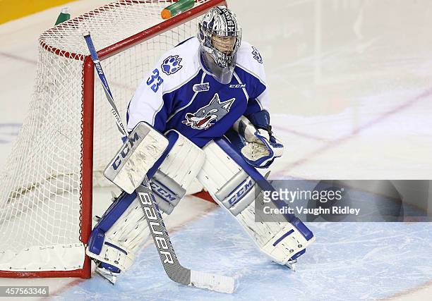 Troy Timpano of the Sudbury Wolves in goal during an OHL game between the Sudbury Wolves and the Niagara Ice Dogs at the Meridian Centre on October...