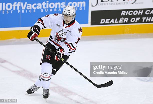 Mikkel Aagaard of the Niagara Ice Dogs skates during an OHL game between the Sudbury Wolves and the Niagara Ice Dogs at the Meridian Centre on...