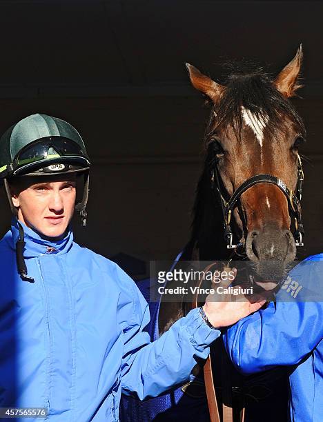 Chad Schofield poses with Sweynesse after Breakfast With The Best Track Gallops at Moonee Valley Racecourse on October 21, 2014 in Melbourne,...