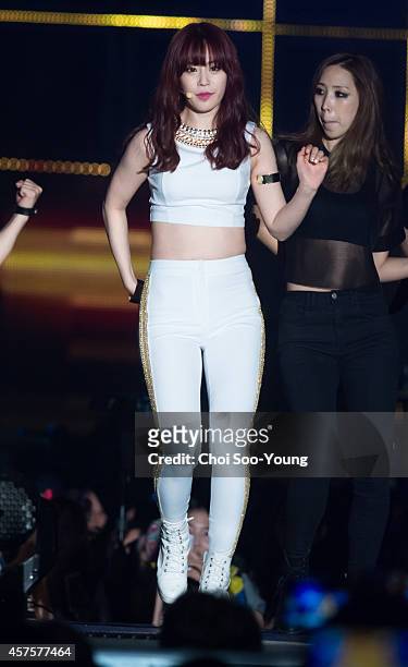 Perform onstage during the 2014 Hallyu Dream Concert at Gyeongju Citizen Stadium on September 28, 2014 in Seoul, South Korea.