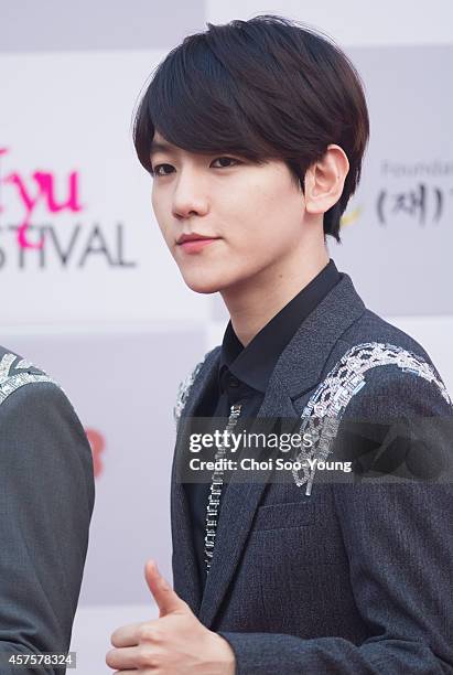 Exo-K pose for photographs during the 2014 Hallyu Dream Concert at Gyeongju Citizen Stadium on September 28, 2014 in Seoul, South Korea.