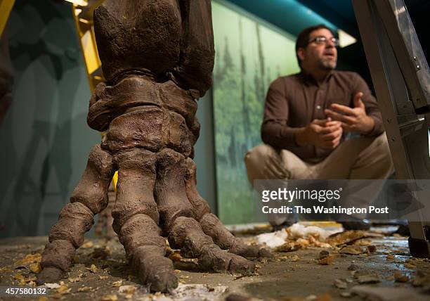 Paleo Biology curator Matthew Carrano near the foot of a Wooly Mammoth skeleton being deconstructed at the Smithsonian Museum of Natural History in...