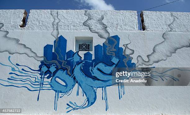 Three dimensional picture on a wall is seen in Djerba island of Tunisia, on October 17, 2014. Three dimensional pictures painted by the 150 street...