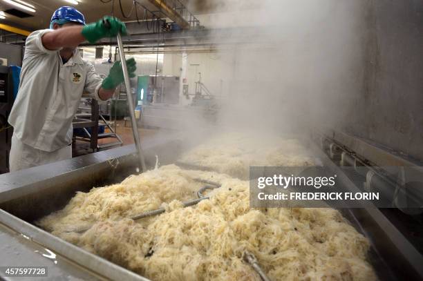 Picture taken on October 21, 2014 in Krautergersheim, eastern France, shows the traditional production of the sauerkraut in an alsatian factory. AFP...