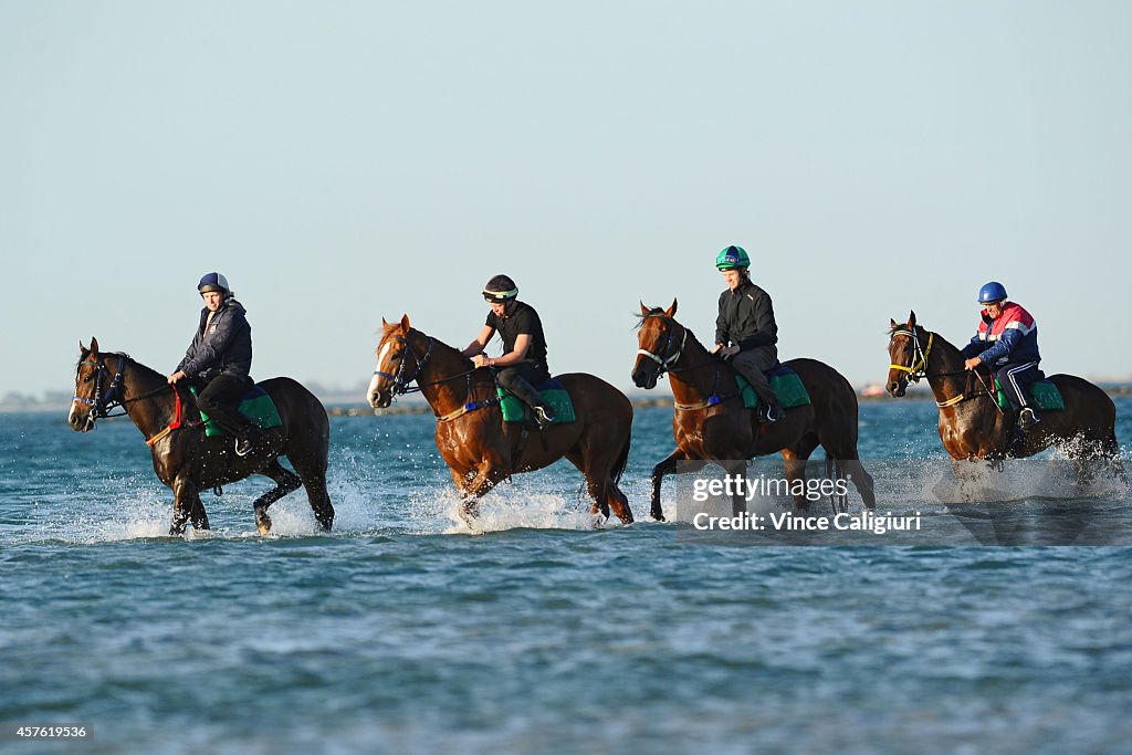 Melbourne Trackwork Session