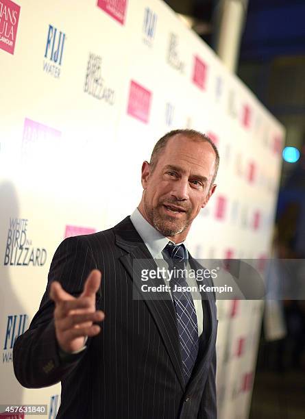 Actor Christopher Meloni attends the premiere of "White Bird In A Blizzard" at ArcLight Hollywood on October 21, 2014 in Hollywood, California.