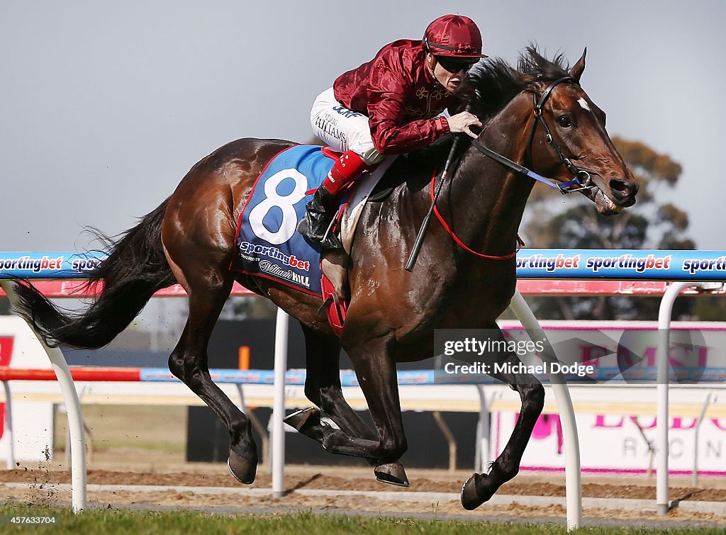 Geelong Cup Day