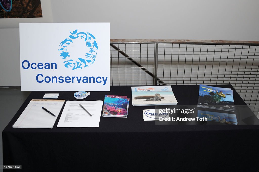 "Tidal Anatomy" John Madere Photography Exhibit And Book Launch Benefitting Ocean Conservancy