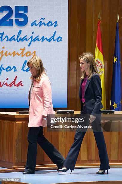 Spanish Minister of Health, Social Services and Equality Ana Mato and Queen Letizia of Spain attend the 25th Anniversary Ceremony of the Spanish...