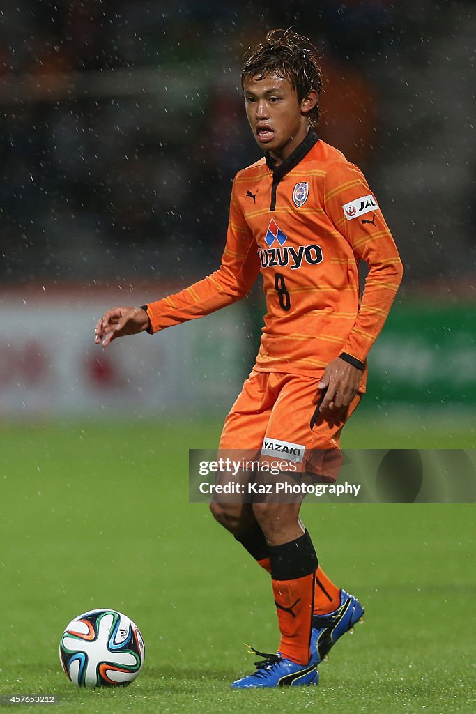 Shimizu S-Pulse v Albirex Niigata - J.League 2014