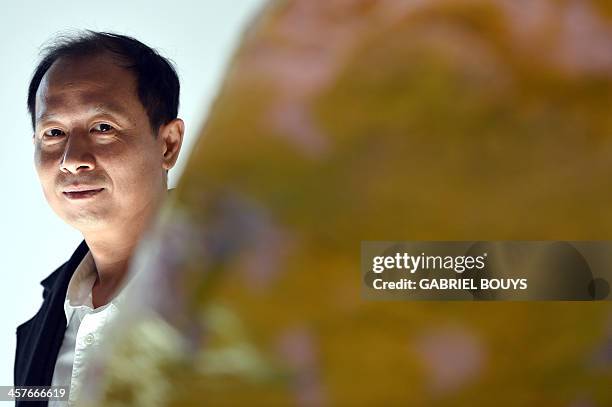 Hanru 66 Hou Hanru Stock Photos, High-Res Pictures, and Images - Getty Images
