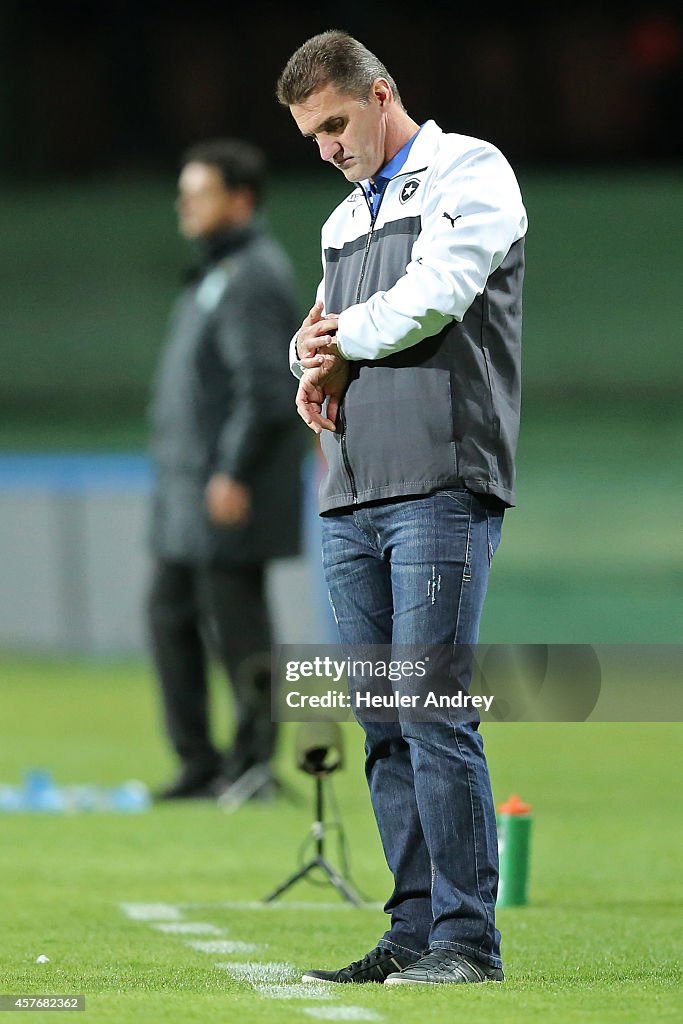 Coritiba v Botafogo - Brasileirao Series A 2014