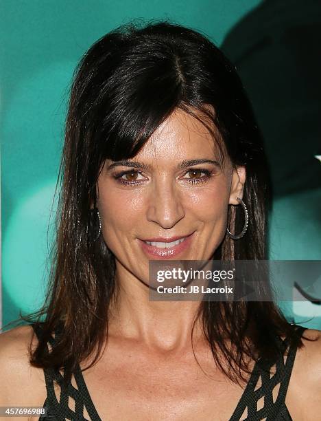 Perrey Reeves attends Summit Entertainment's premiere of 'John Wick' at the ArcLight Theater on October 22, 2014 in Hollywood, California.