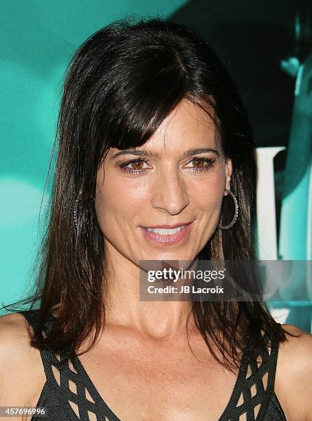 Perrey Reeves attends Summit Entertainment's premiere of 'John Wick' at the ArcLight Theater on October 22, 2014 in Hollywood, California.