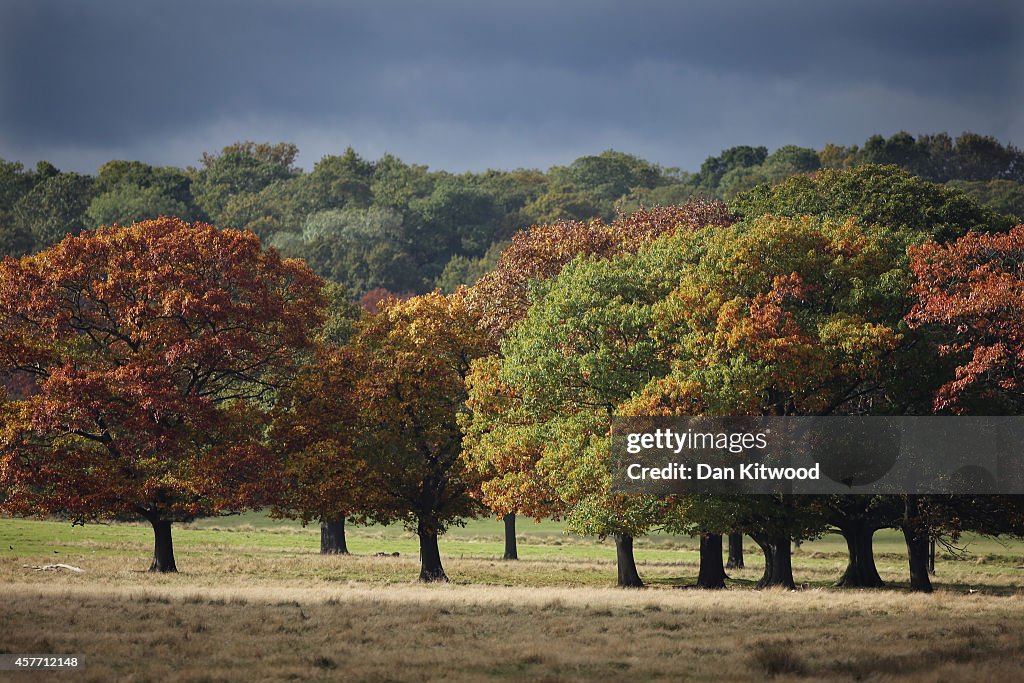 Autumn In The UK