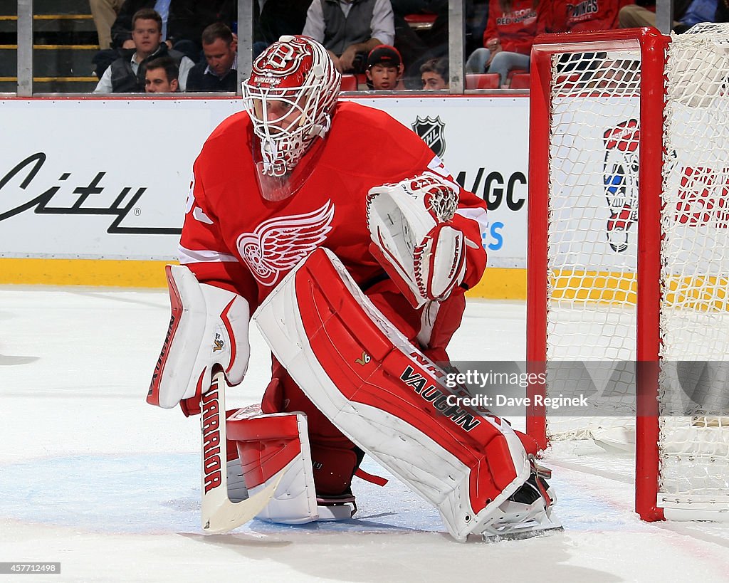 Detroit Red Wings v Boston Bruins