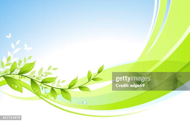 Spring Vines Background Green Vine Background Photos and Premium High Res Pictures - Getty Images