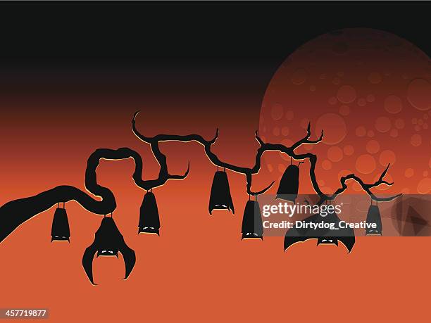 halloween bat branch - inverted stock illustrations