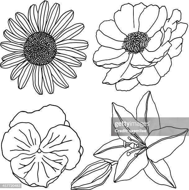 flowers (line) - pansy stock illustrations