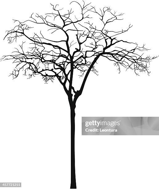 autumn - bare tree stock illustrations