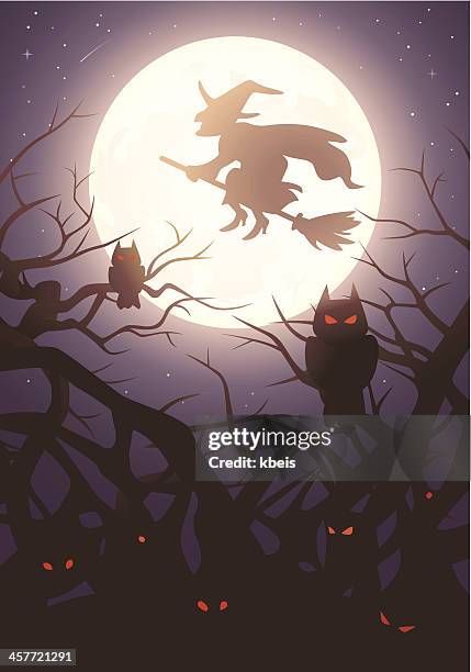 fliegende hexe - witch flying on broom stock-grafiken, -clipart, -cartoons und -symbole