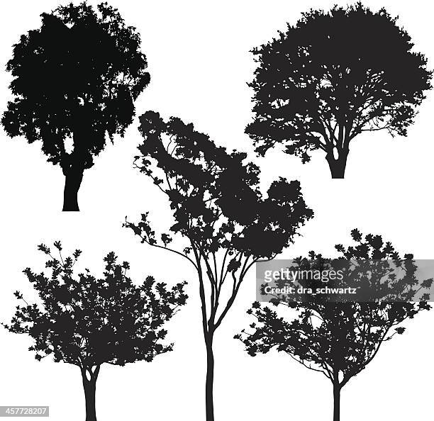 tree silhouette, vector - almond branch stock illustrations