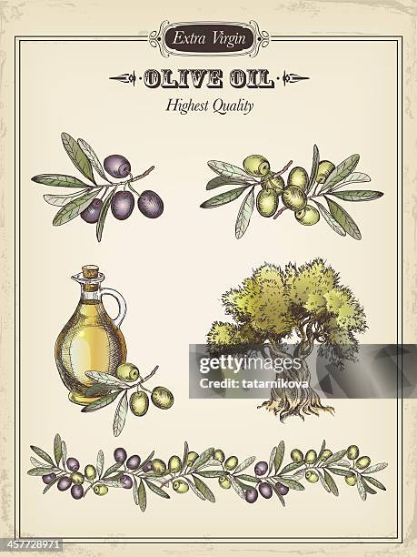 illustrations, cliparts, dessins animés et icônes de olive - olive oil