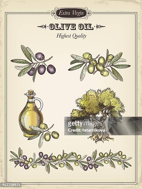 stockillustraties, clipart, cartoons en iconen met olive - olives