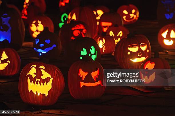 Jack-o'-lanterns are displayed at the "Rise of the Jack OLanterns" exhibition, featuring more than 5,000 hand-carved, illuminated pumpkins created by...