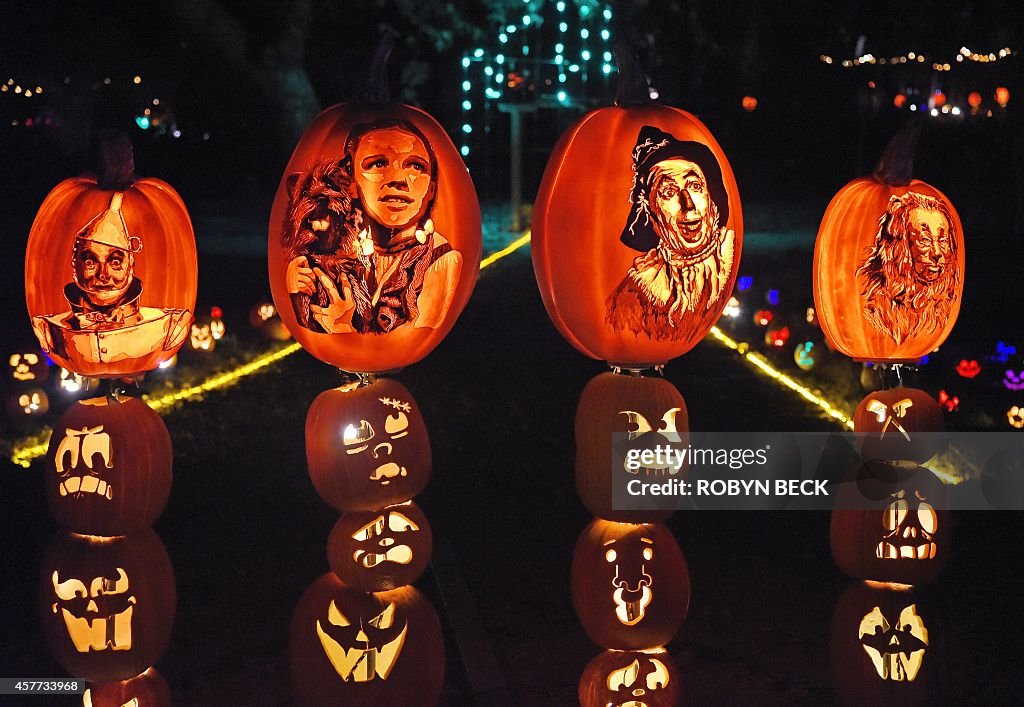 US-HALLOWEEN-PUMPKINS-JACK O'LANTERNS-CARVING-ILLUMINATED-RISE O