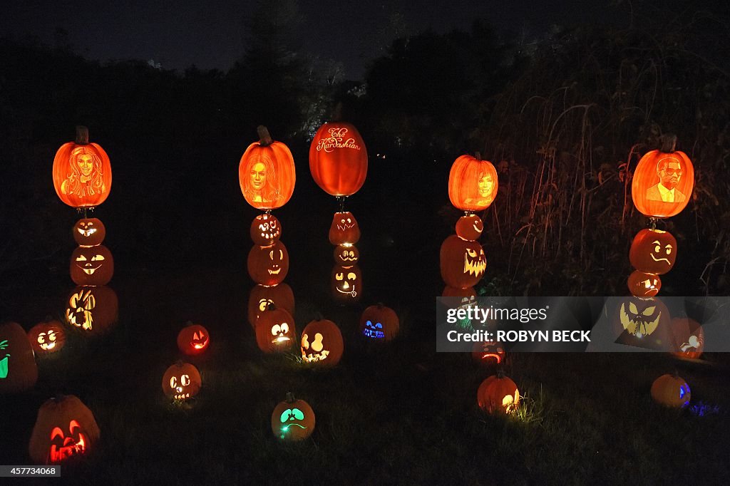 US-HALLOWEEN-PUMPKINS-JACK O'LANTERNS-CARVING-ILLUMINATED-RISE O