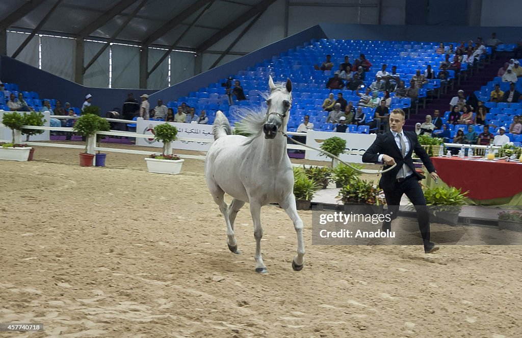 7th El Jadida Horse Fair in Morocco
