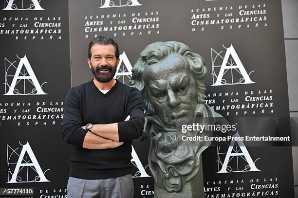 Antonio Banderas attends a photocall as the Spanish Cinema Academy announced him to be the winner of the honorary Goya cinema award to be received on...