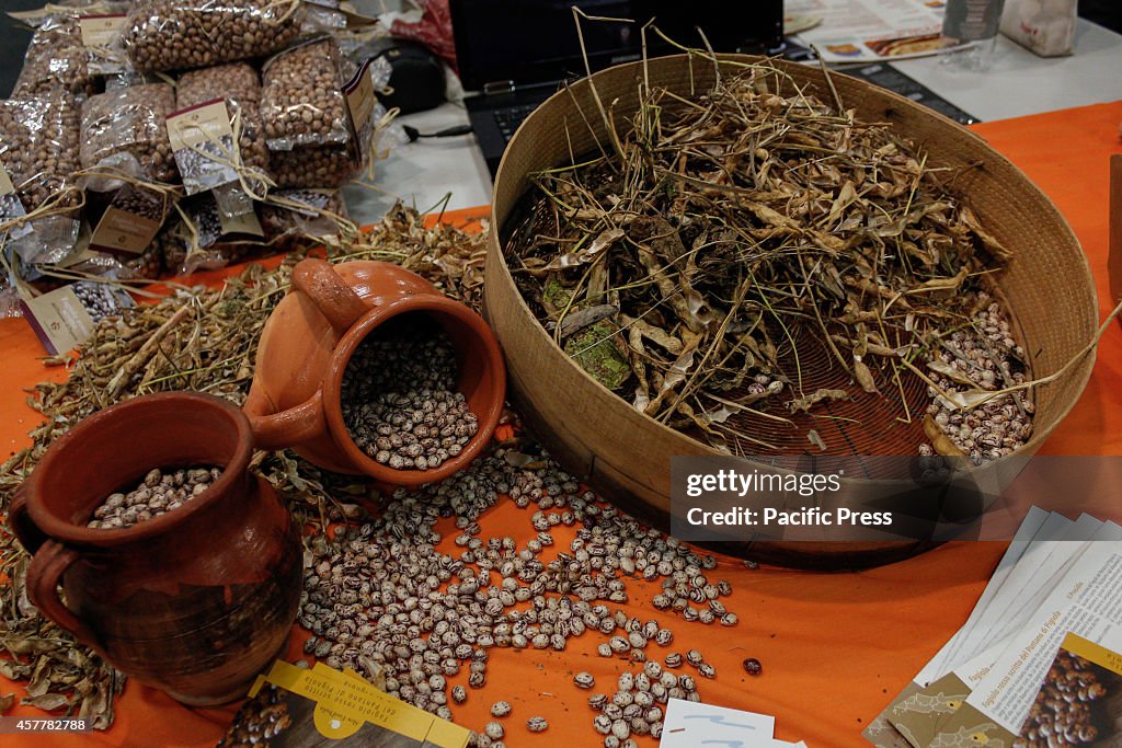 The "Salone Internazionale del Gusto and Terra Madre", the...