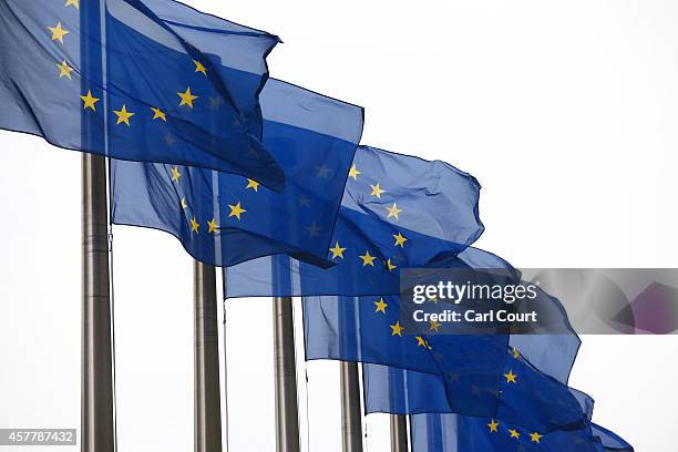 European Union flags are pictured outside the European Commission building on October 24, 2014 in Brussels, Belgium. Alongside criticism from...