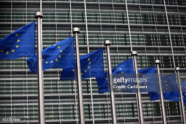 European Union flags are pictured outside the European Commission building on October 24, 2014 in Brussels, Belgium. Alongside criticism from...