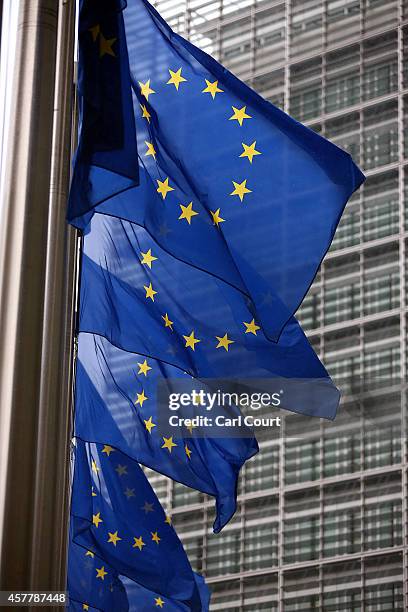 European Union flags are pictured outside the European Commission building on October 24, 2014 in Brussels, Belgium. Alongside criticism from...