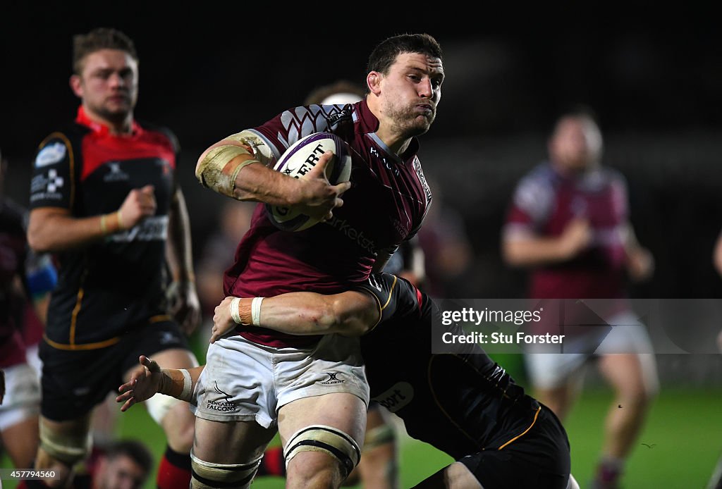 Newport Gwent Dragons  v  Newcastle Falcons - European Rugby Challenge Cup
