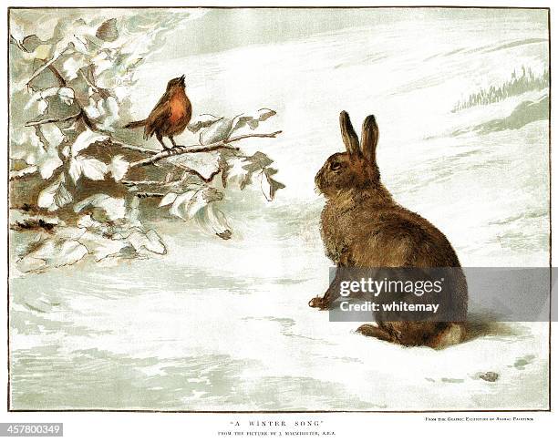 robin and rabbit in the snow - christmas scenes stock illustrations