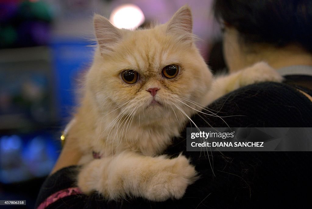 COLOMBIA-EXHIBITION-PETS