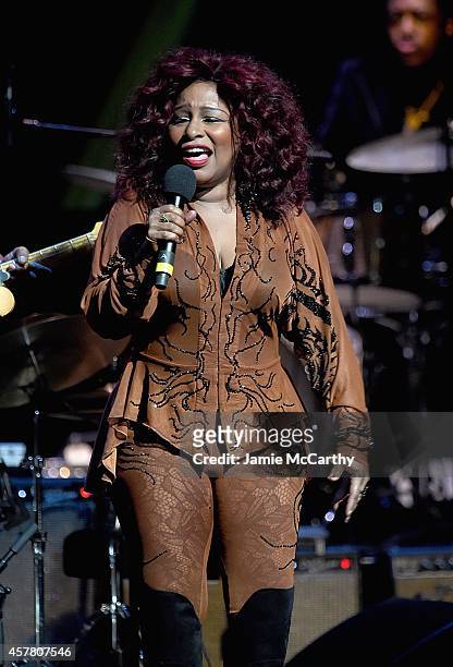 Chaka Khan performs at the 13th Annual A Great Night In Harlem Gala Benefiting The Jazz Musicians Emergency Fund at The Apollo Theater on October 24,...
